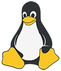 Hosting Professionale Linux