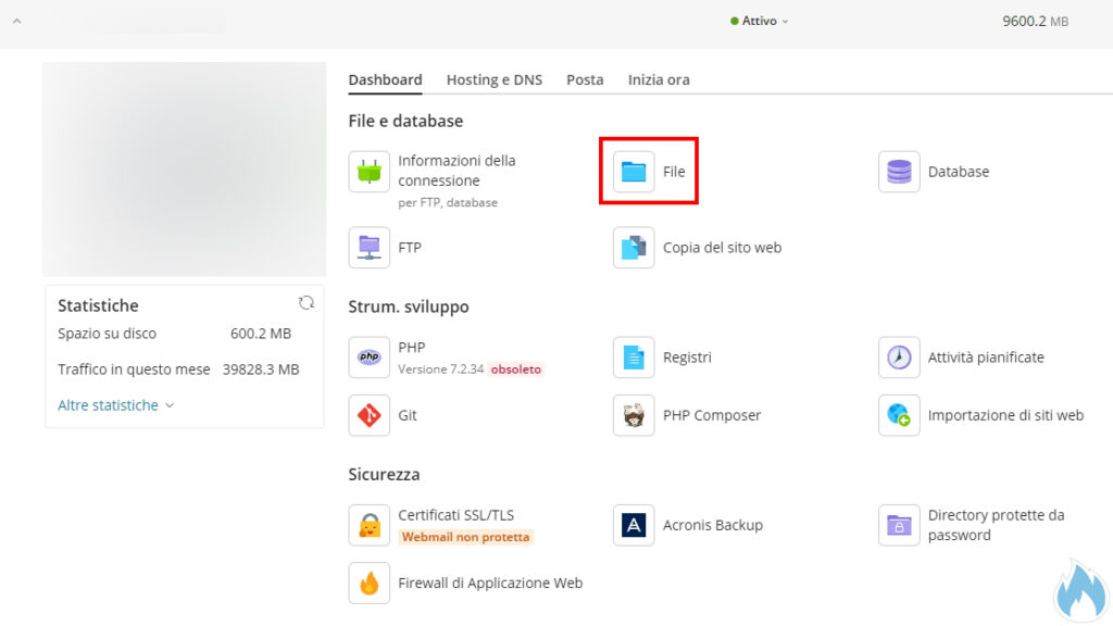 File Manager Plesk